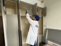 偏方真的能除甲醛嗎？