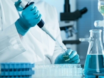 綠植真的能除甲醛嗎？